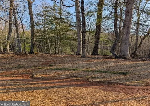 Photo 4 of Land for sale at 0 Yahoola Rd, Dahlonega, GA 30533 | MLS# 10535206 | Listing updated on 2026-01-08