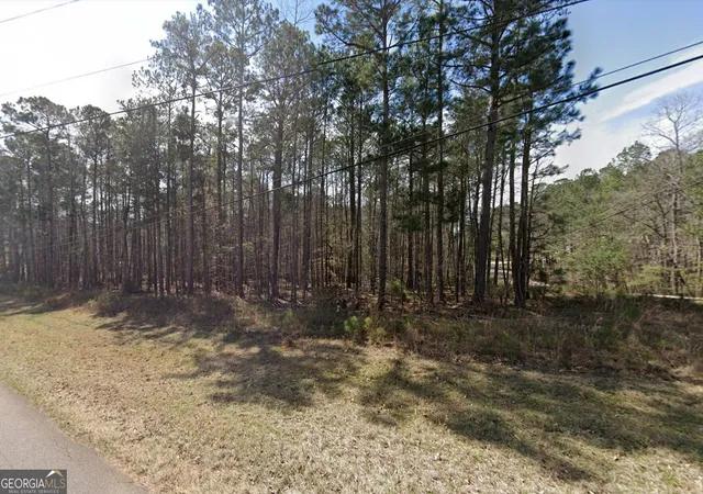 2nd image of 35 S Chattahooc Ee Dr, Hogansville, GA 30230 | MLS# 10792345