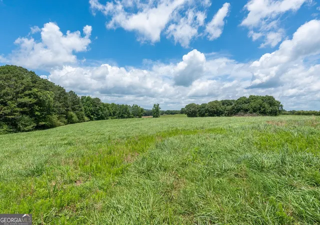 Homes for sale in Roopville, GA | 3710 Veal Street, Roopville, GA 30170 | MLS# 10792136