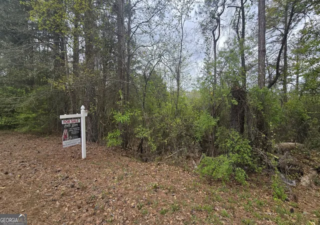 Homes for sale in Franklin, GA | 0 Cherry Rd, Franklin, GA 30217 | MLS# 10721869