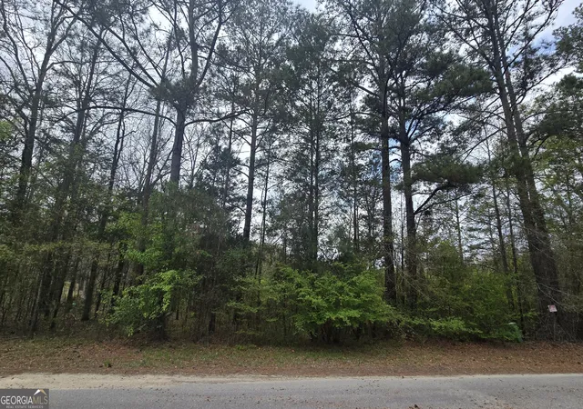 Homes for sale in Franklin, GA | 0 Cherry Rd, Franklin, GA 30217 | MLS# 10721869