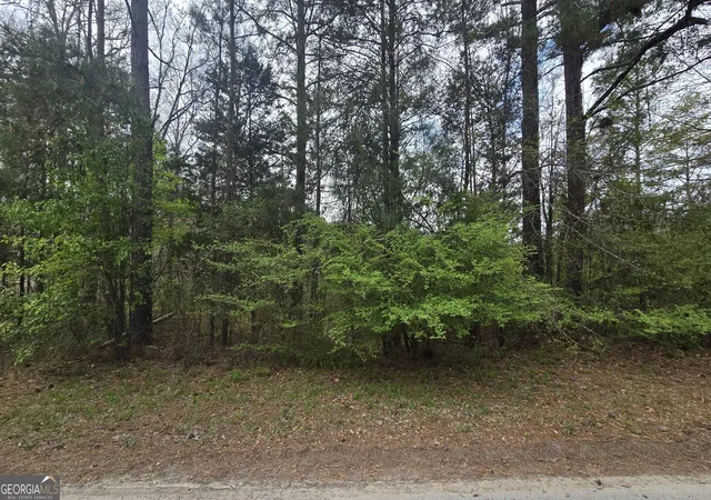 Homes for sale in Franklin, GA | 0 Cherry Rd, Franklin, GA 30217 | MLS# 10721869
