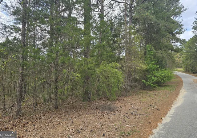 Homes for sale in Franklin, GA | 0 Cherry Rd, Franklin, GA 30217 | MLS# 10721869