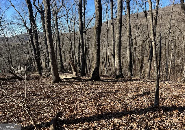 3rd image of 4548 Sassafras Mountain Trl, Jasper, GA 30143 | MLS# 10805974