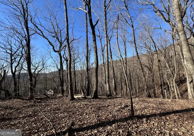 4th image of 4548 Sassafras Mountain Trl, Jasper, GA 30143 | MLS# 10805974