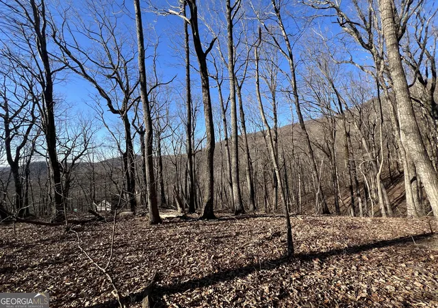 5th image of 4548 Sassafras Mountain Trl, Jasper, GA 30143 | MLS# 10805974