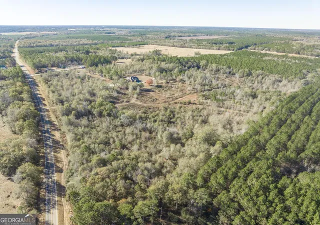 Homes for sale in Abbeville, GA | 4065 Gordon Rd, Abbeville, GA 31001 | MLS# 10659244