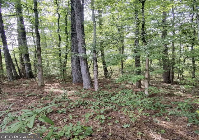 Land for sale at 0 Post Rd, Winston, GA 30187 | MLS# 10824086