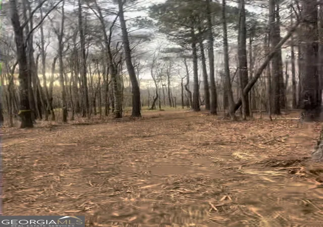 Photo 3 of Land for sale at 166 Lake Crst Dr, Sparta, GA 31087 | MLS# 10705919 | Listing updated on 2026-08-05