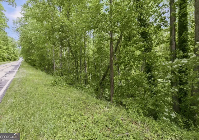 Photo 3 of Land for sale at 0 Habersham Mills Rd, Demorest, GA 30535 | MLS# 10810438 | Listing updated on 2026-09-22