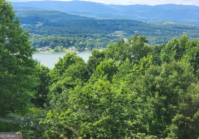 86th image of 880 Locust Trl, Hiawassee, GA 30546 | MLS# 10784935