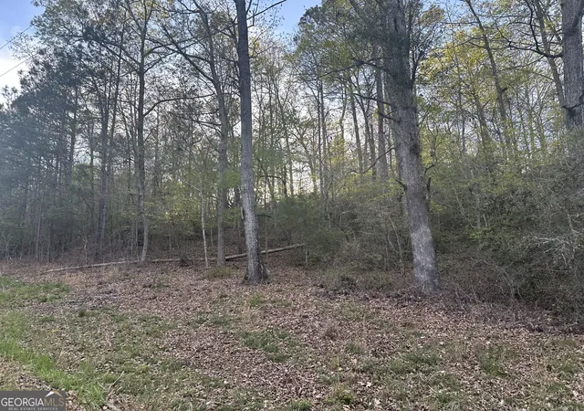 Photo 1 of Land for sale at 1141 Skipstone Dr, Watkinsville, GA 30677 | MLS# 10807523 | Listing updated on 2026-07-31