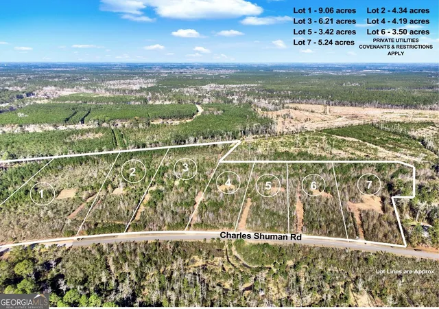 Photo 2 of Land for sale at Lot 3 Charles Shuman Rd, Pembroke, GA 31321 | MLS# 10610855 | Listing updated on 2026-09-05
