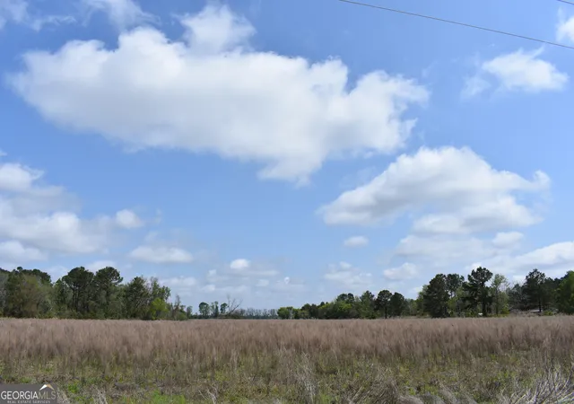 Photo 3 of House for sale at 0 Oak Tree Rd #(31.62 AC), Metter, GA 30439 | MLS# 10833096 | Listing updated on 2026-08-26