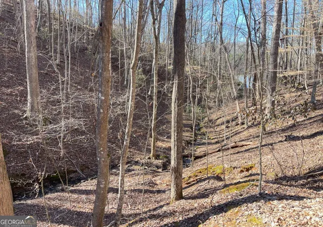 Photo 3 of Land for sale at 7703 Pine Cir, Murrayville, GA 30564 | MLS# 10816210 | Listing updated on 2026-08-14