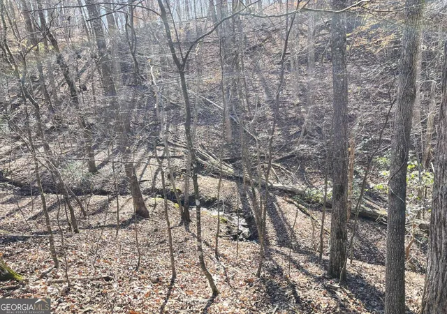 Photo 4 of Land for sale at 7703 Pine Cir, Murrayville, GA 30564 | MLS# 10816210 | Listing updated on 2026-08-14