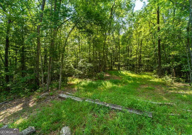 1st image of Tr 1&2 Blue Arrow Ln, Mineral Bluff, GA 30559 | MLS# 10797050