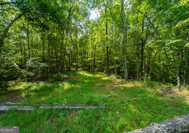 2nd image of Tr 1&2 Blue Arrow Ln, Mineral Bluff, GA 30559 | MLS# 10797050