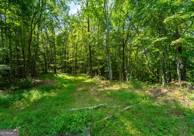 Photo 3 of Land for sale at Tr 1&2 Blue Arrow Ln, Mineral Bluff, GA 30559 | MLS# 10797050 | Listing updated on 2026-08-17