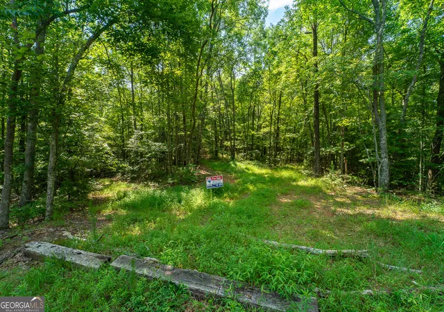 Photo 3 of Land for sale at Tr 1&2 Blue Arrow Ln, Mineral Bluff, GA 30559 | MLS# 10797050 | Listing updated on 2026-08-17