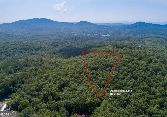 Photo 4 of Land for sale at Tr 1&2 Blue Arrow Ln, Mineral Bluff, GA 30559 | MLS# 10797050 | Listing updated on 2026-08-17