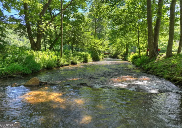 Homes for sale in Cherry Log, GA | 2628 Big Creek Rd, Cherry Log, GA 30522 | MLS# 10791671