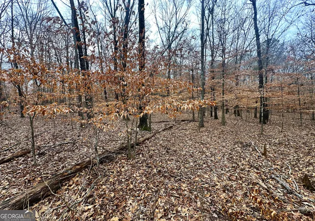 Photo 3 of Sale Pending at 116 Appalachee Church Rd, Auburn, GA 30011 | MLS# 10455574 | Listing updated on 2026-09-24