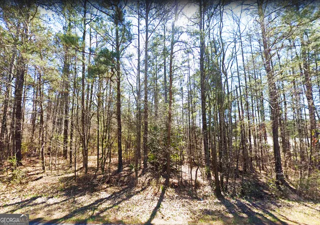 3rd image of 7606 Nebo Rd, Hiram, GA 30141 | MLS# 10288216