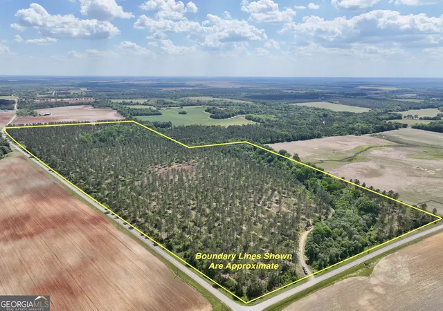 Photo 1 of Land for sale at 0 Poplar Springs Rd, Byromville, GA 31007 | MLS# 10817710 | Listing updated on 2026-09-19