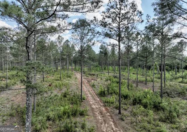 Photo 3 of House for sale at 0 Poplar Springs Rd, Byromville, GA 31007 | MLS# 10817710 | Listing updated on 2026-09-19