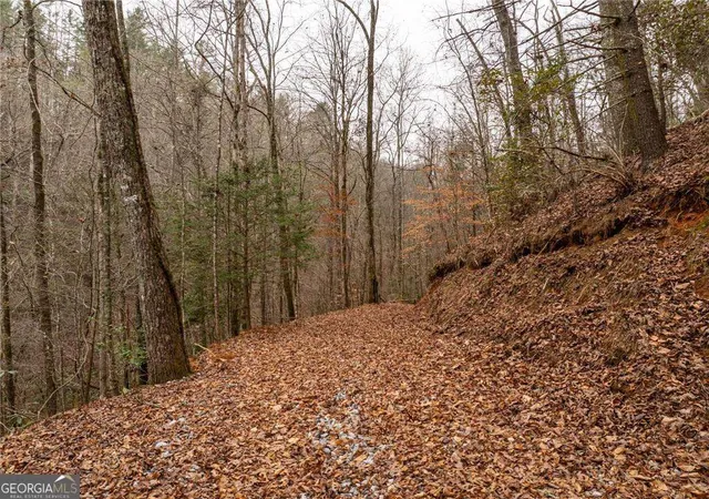 Homes for sale in Dahlonega, GA | 377 Soldiers Path, Dahlonega, GA 30533 | MLS# 10802753