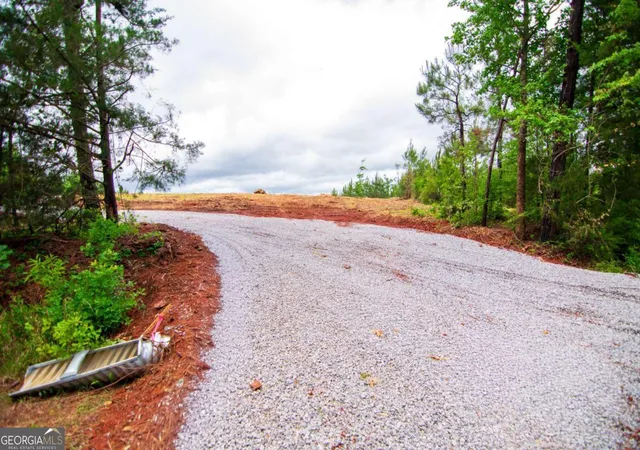 Homes for sale in Shiloh, GA | Tract 2   0 St Paul Church Rd, Shiloh, GA 31826 | MLS# 10759846