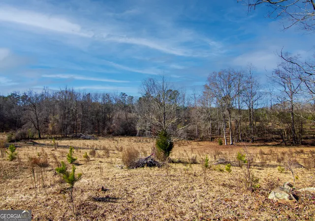 Homes for sale in Shiloh, GA | Tract 2 - 0 St Paul Church Rd, Shiloh, GA 31826 | MLS# 10759846