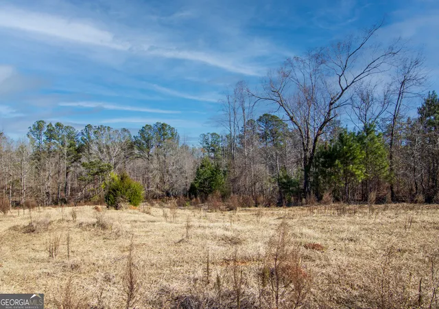 Homes for sale in Shiloh, GA | Tract 2 - 0 St Paul Church Rd, Shiloh, GA 31826 | MLS# 10759846