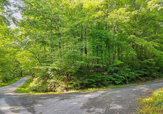 2nd image of 0 Charmont #3, Tiger, GA 30576 | MLS# 10819927