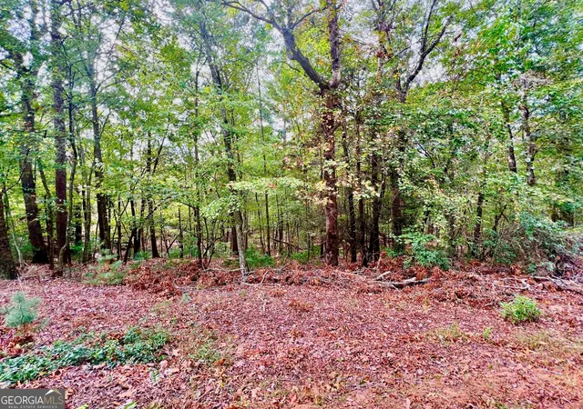 Photo 1 of Land for sale at 298 Etowah Dr, Ellijay, GA 30540 | MLS# 10400620 | Listing updated on 2026-04-30