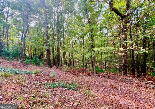 Photo 2 of Land for sale at 298 Etowah Dr, Ellijay, GA 30540 | MLS# 10400620 | Listing updated on 2026-04-30