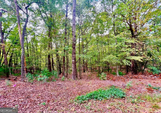Photo 3 of Land for sale at 298 Etowah Dr, Ellijay, GA 30540 | MLS# 10400620 | Listing updated on 2026-04-30