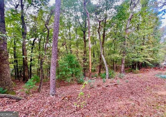 Photo 4 of Land for sale at 298 Etowah Dr, Ellijay, GA 30540 | MLS# 10400620 | Listing updated on 2026-04-30