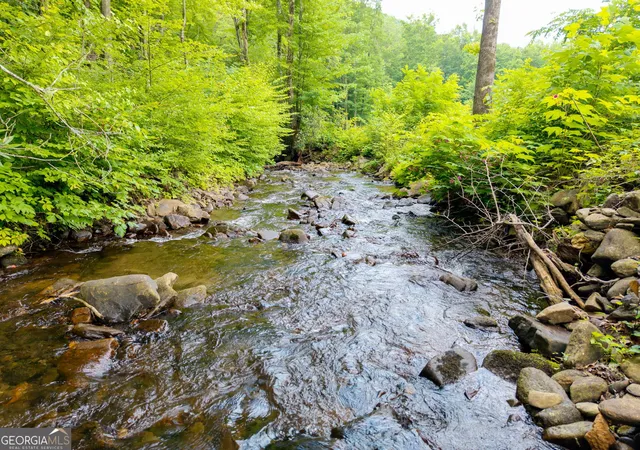 Homes for sale in Hayesville, NC | 1449 Muskrat Creek Rd, Hayesville, NC 28904 | MLS# 10783328