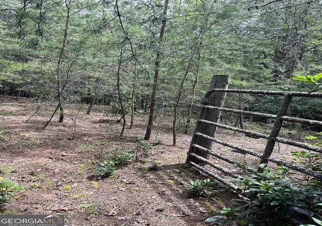 1st image of 0 Windy Ridge, Otto, NC 28763 | MLS# 10818789