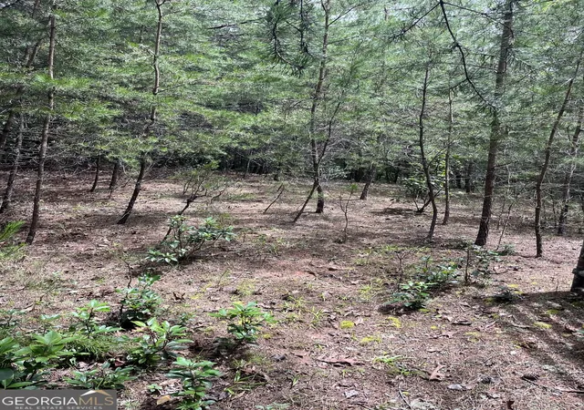 2nd image of 0 Windy Ridge, Otto, NC 28763 | MLS# 10818789