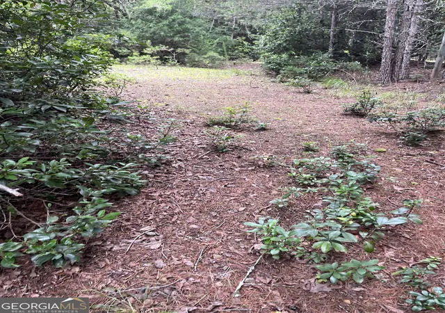 3rd image of 0 Windy Ridge, Otto, NC 28763 | MLS# 10818789