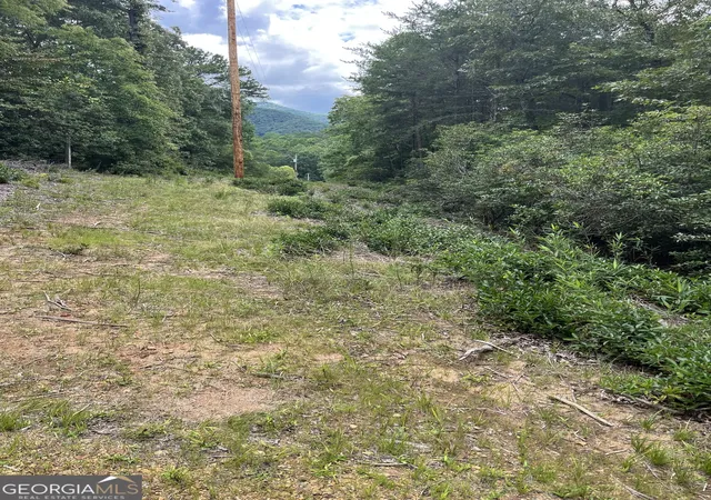 4th image of 0 Windy Ridge, Otto, NC 28763 | MLS# 10818789