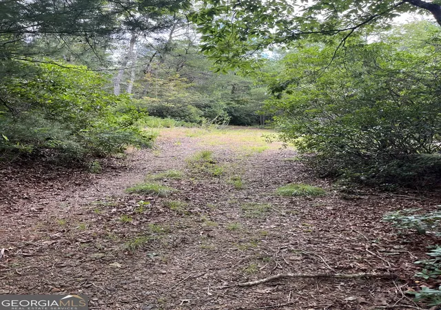 5th image of 0 Windy Ridge, Otto, NC 28763 | MLS# 10818789