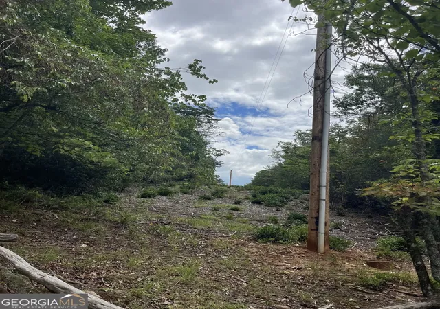 6th image of 0 Windy Ridge, Otto, NC 28763 | MLS# 10818789