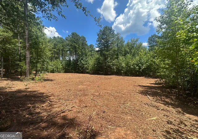 image of 0 Ruckersville Rd, Elberton, GA 30635 | MLS# 10757828