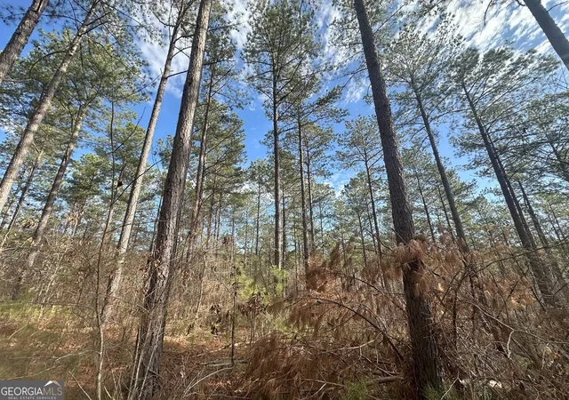 image of 0 Ruckersville Rd, Elberton, GA 30635 | MLS# 10757828