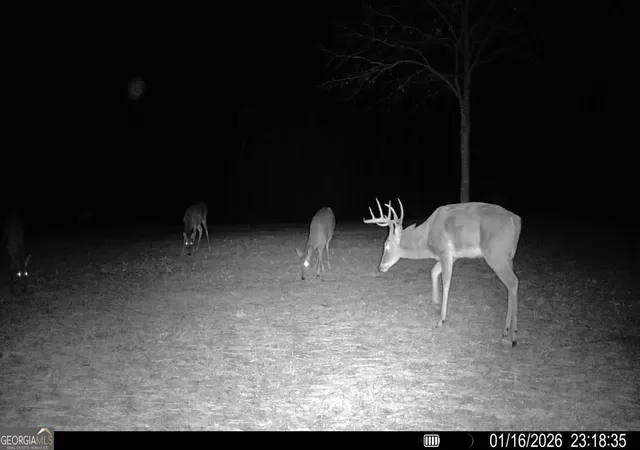 Photo 23 of Land for sale at 2285 Cherokee Rd, Comer, GA 30629 | MLS# 10820727 | Listing updated on 2026-08-25