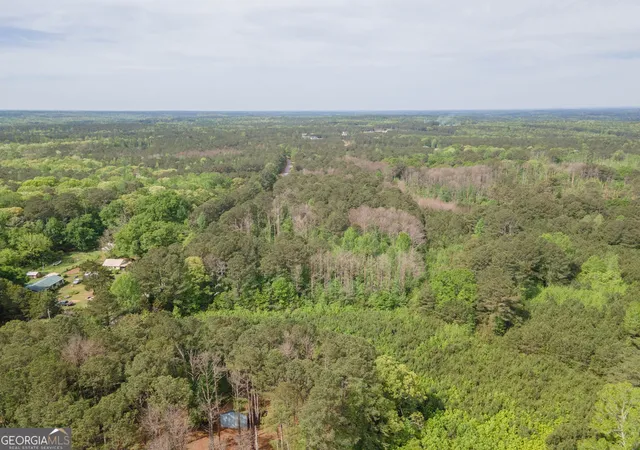 11th image of 0 Beavers Road, Grantville, GA 30220 | MLS# 10819798